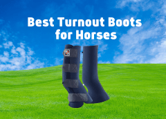 Best Turnout Boots For Horses