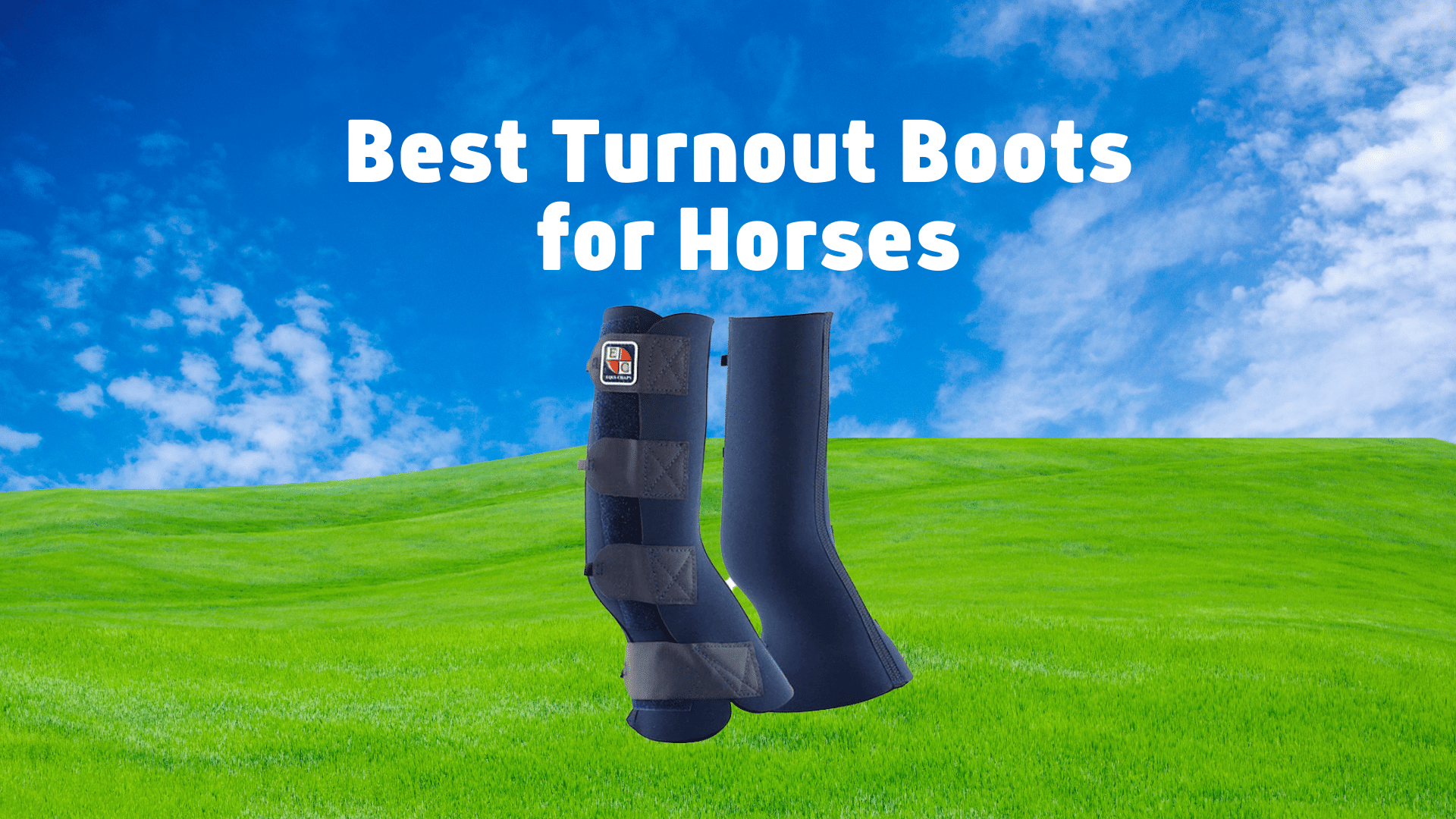 best turnout boots for horses