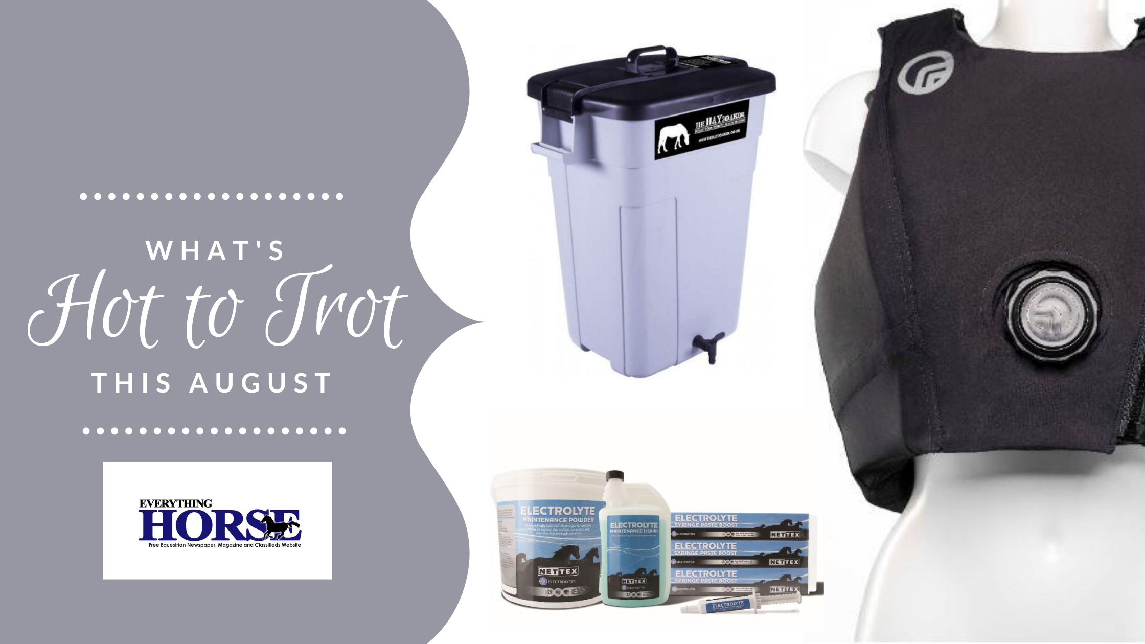 what's hot to trot this august