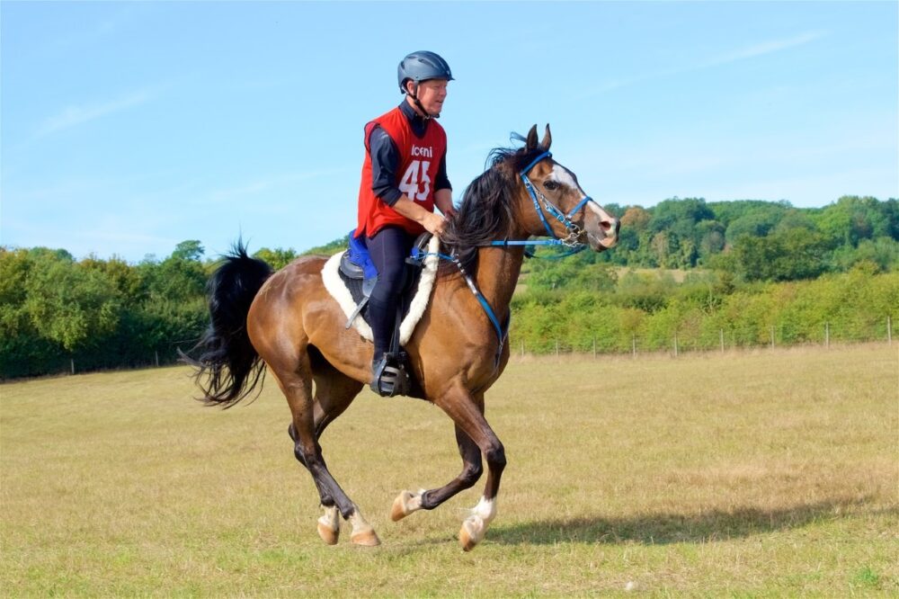 John Black, FEI winner and Advanced Champion at Lavenham Ride 2019. Picture credit Event to Event Photography.