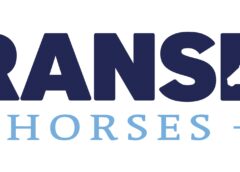bransby horses new logo