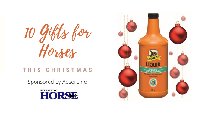 10 Gifts for Horses this Christmas | Everything Horse