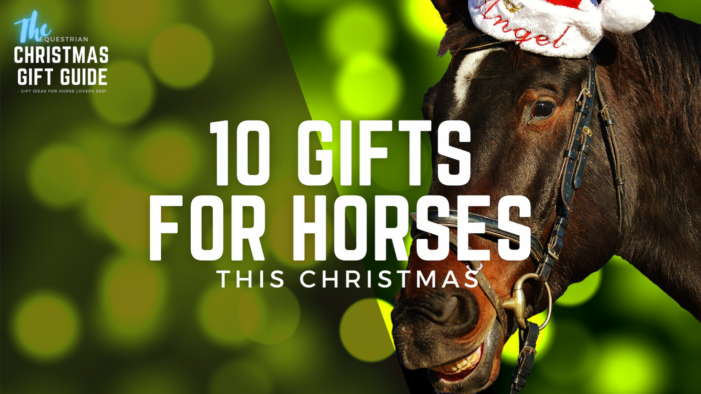 10 gifts for horses this Christmas