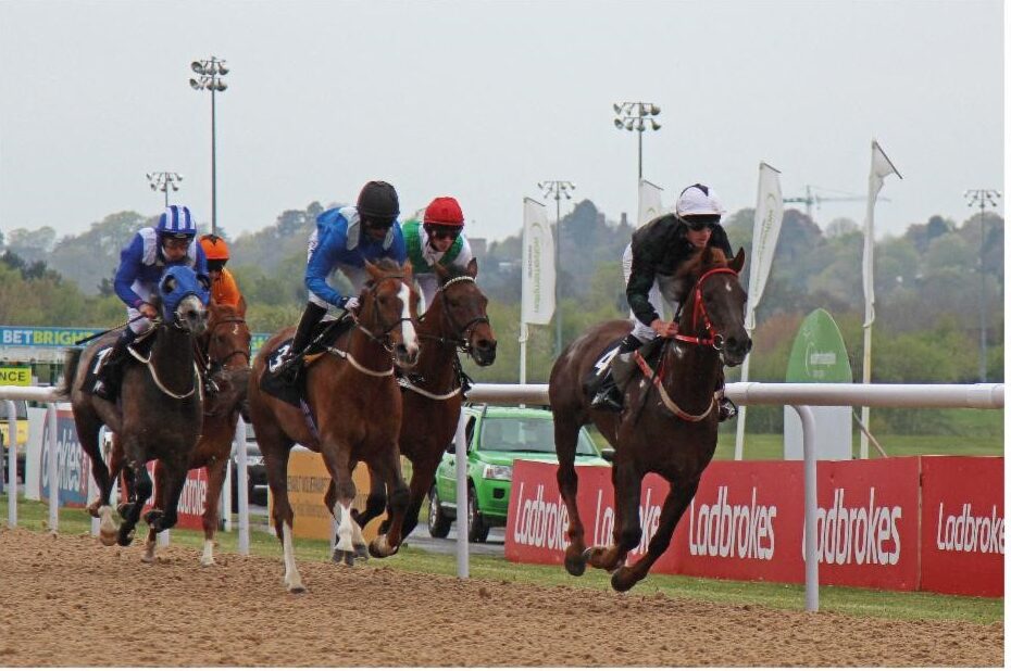 Zayin Arabian Stud Handicap Race Wolverhampton