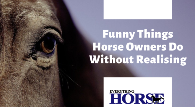 Funny things horse owners do