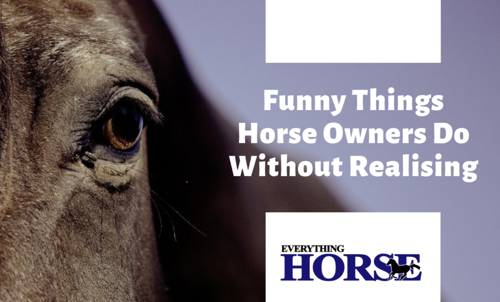 Funny things horse owners do