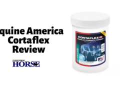 Equine America Cortaflex Review