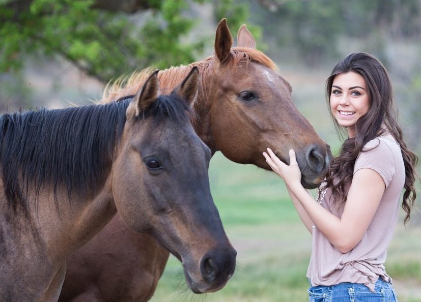 Jodie Seddon on Loan Contracts for Horses