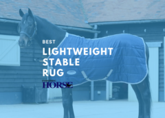 Best Lightweight Stable Rugs for Horses