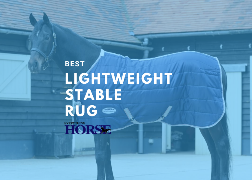 best lightweight stable rug