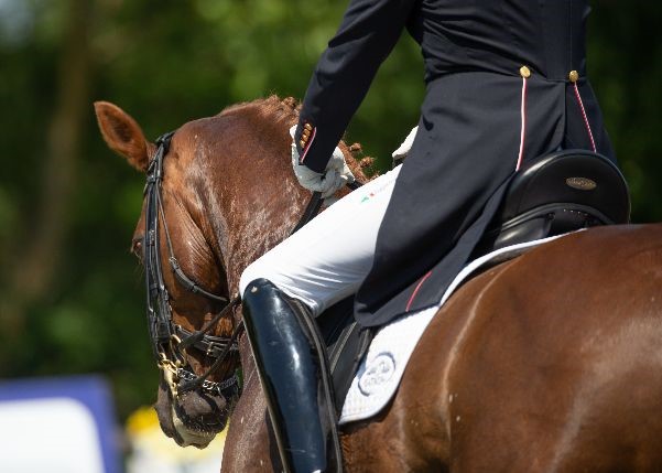 The All England Jumping Course will host its first Premier League dressage competition in May 2021. Image (c) JulianPortch.com