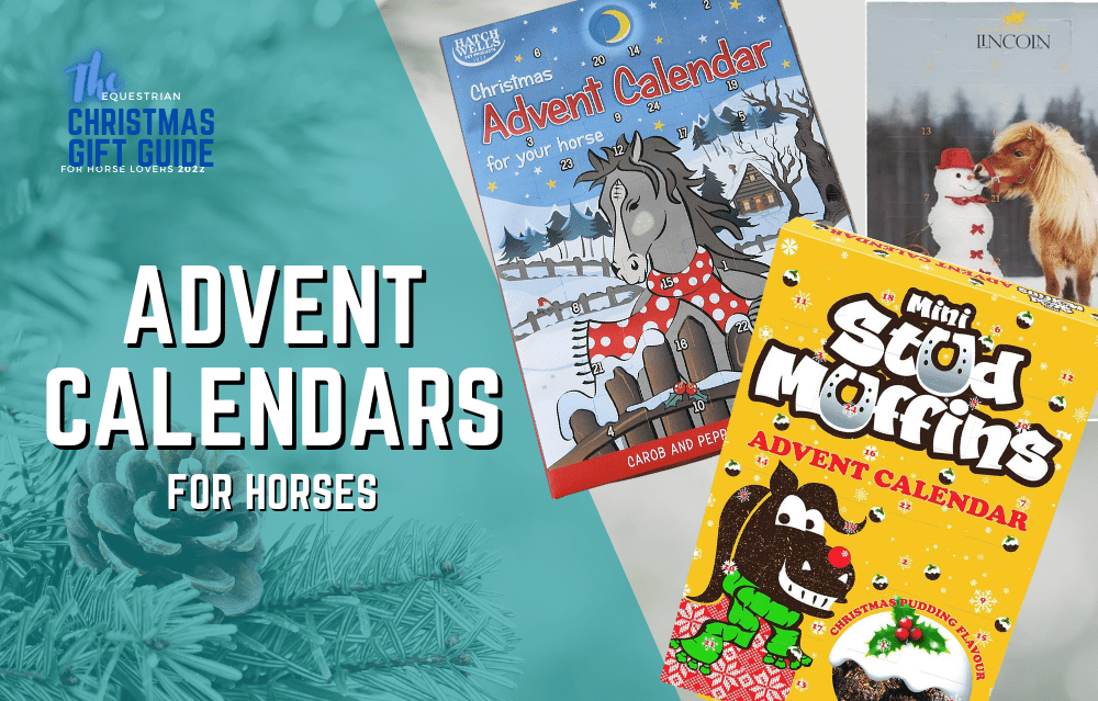 Christmas Advent Calendars For Horses Everything Horse Magazine