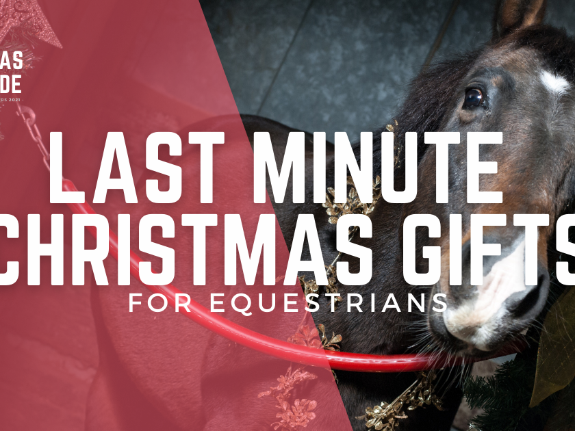 last minute Christmas gifts for equestrians