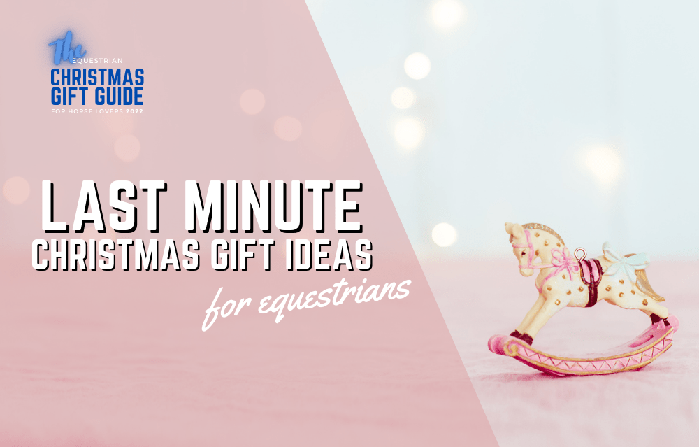 Last minute christmas gift ideas for equestrians