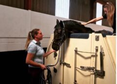 Equine spa Breaks Devon Equine Hydrotherapy Spa