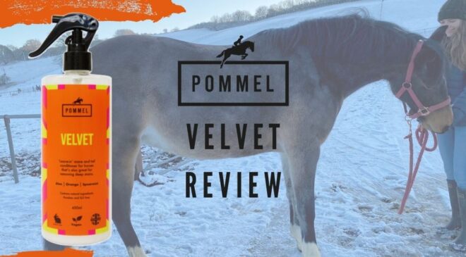 Pommel Velvet Review