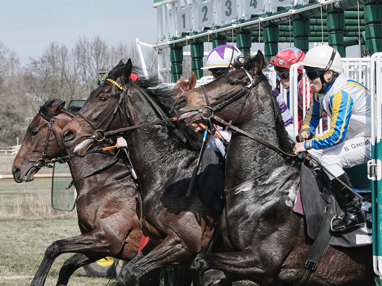 Image for illustration purposes only. Why Tiger Roll is justified ante-post favourite for the 2021 Grand National