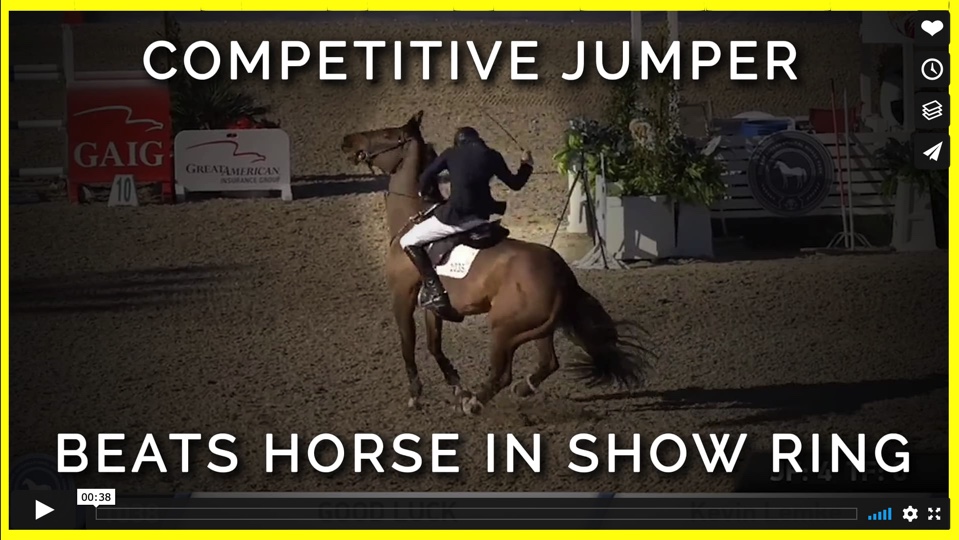 competitive jumper beats horse in show ring