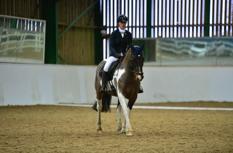 BEDE Events Virtual Dressage Competition