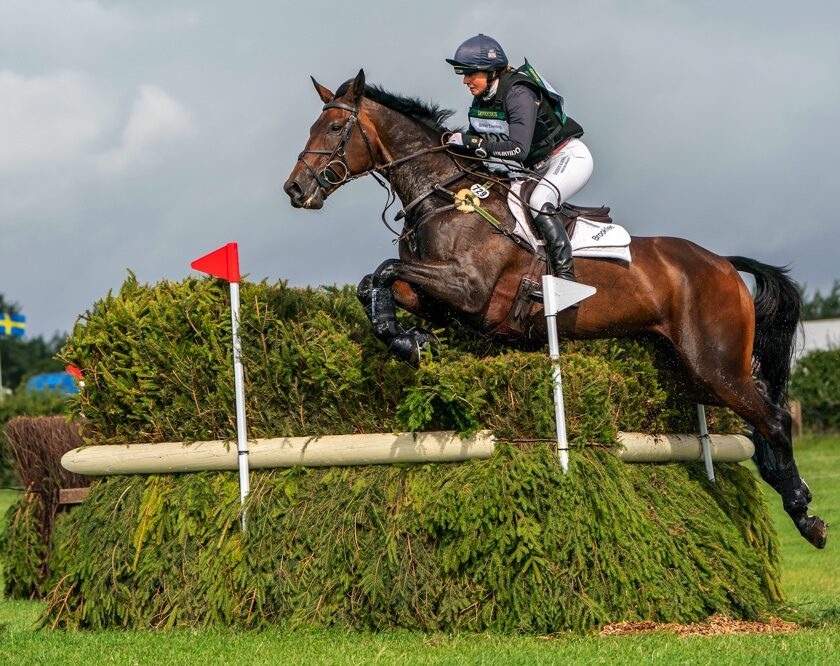 Piggy French riding Brookfield Quality at Burgham. Image credit Rupert Gibson Photography.