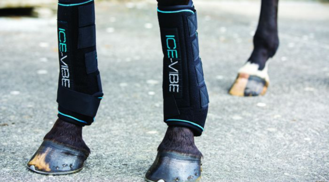 Ice Boots For Horses