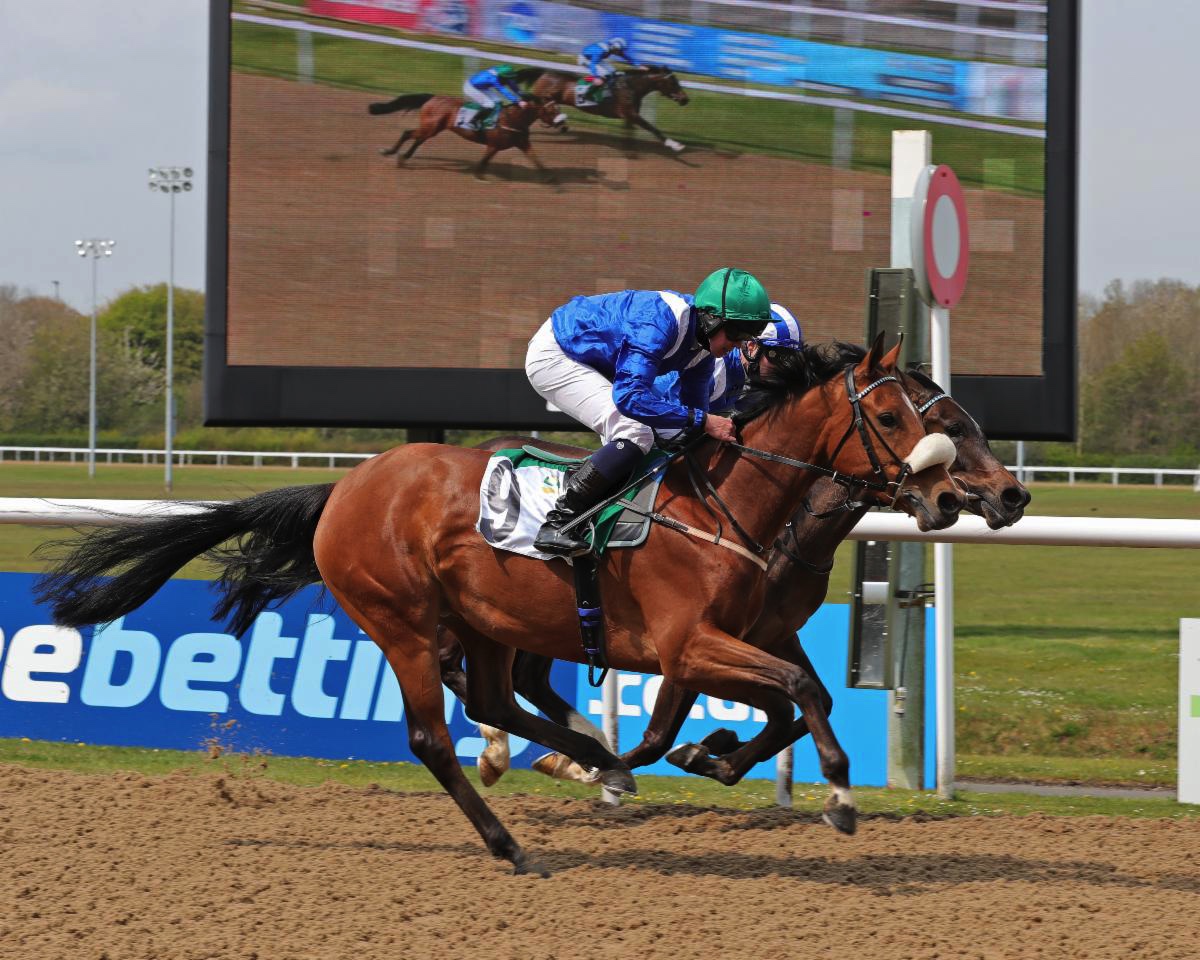 Farasah wins the Wathba Stallions Cup Maiden Stakes over 7f at Wolverhampton ridden by Mark Crehan ©Debbie Burt - Equine Creative Media