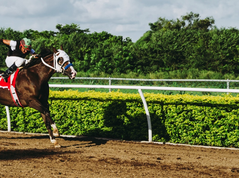 Horse racing on track with jockey