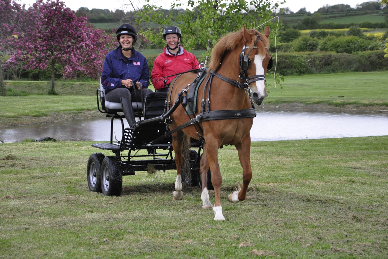 Try Carriage Driving with the Bennington Team