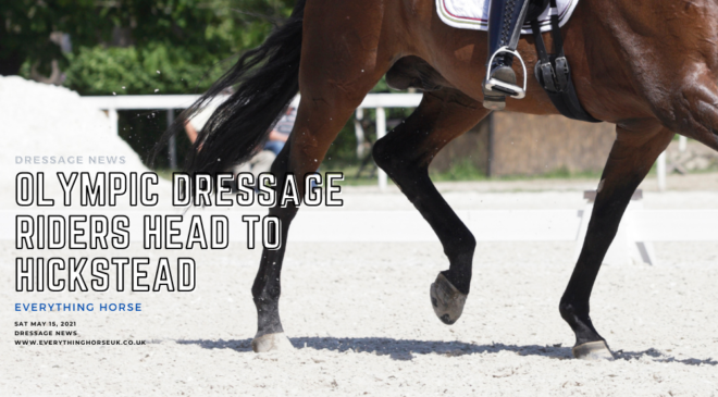olympic dressage riders head to hick stead