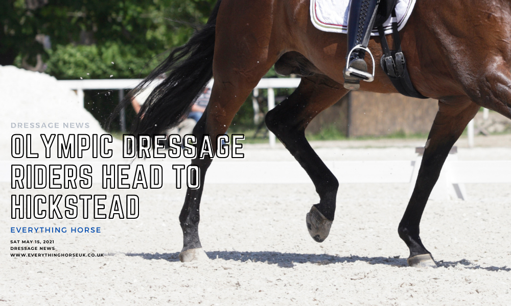 olympic dressage riders head to hick stead