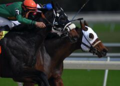 Horse racing in Dubai