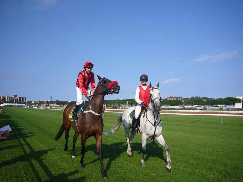 "Randwick" (CC BY-NC-ND 2.0) by phatfreemiguel