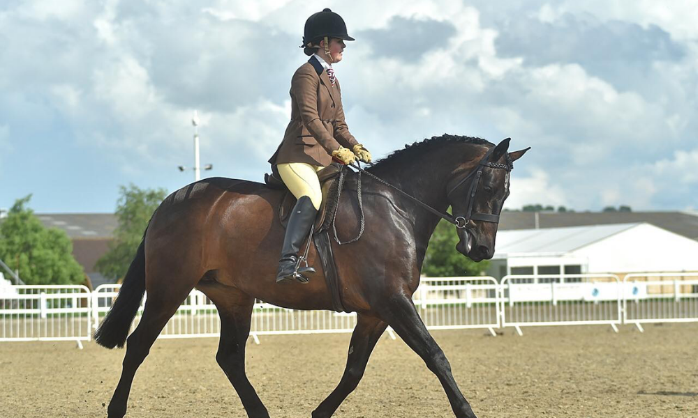 Showing Rider, Melissa Hatton's Sudden Death Leaves Equestrian Community in Mourning