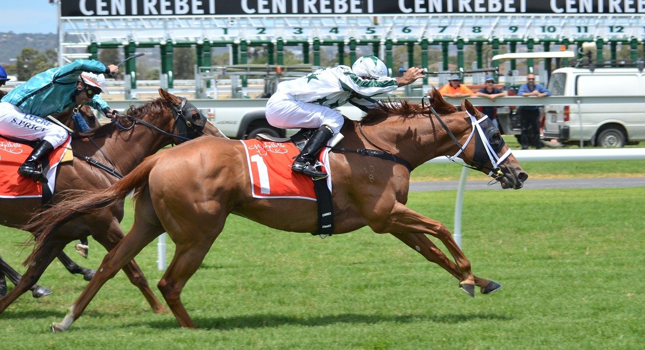 Image illustrative of the Juddmonte International Stakes