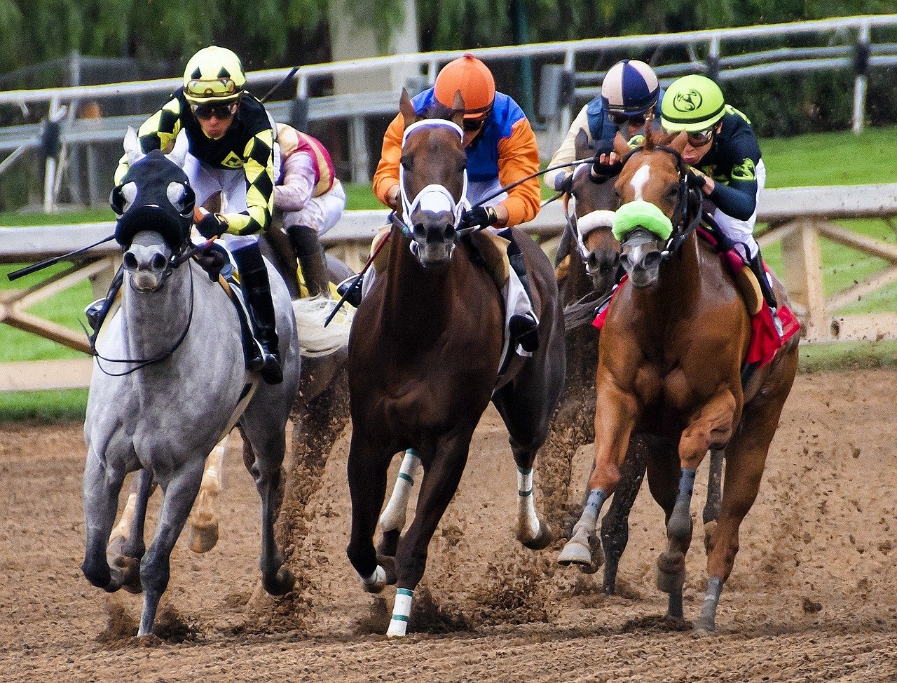 horse racing in the Gulf image to represent the text