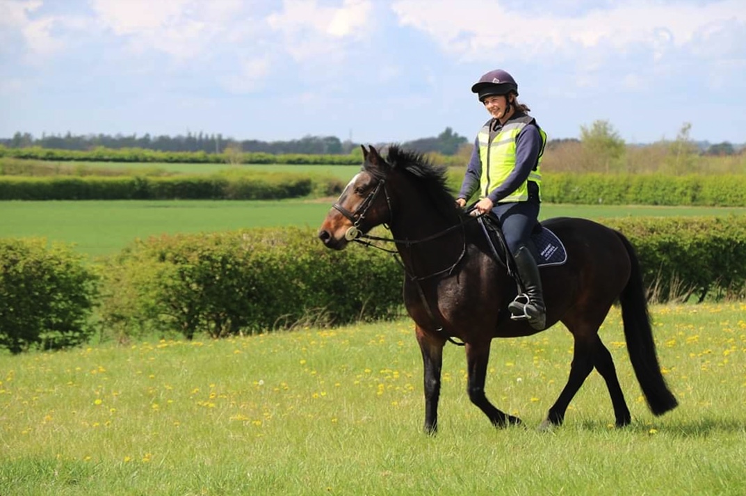 5 Top Tips for Horse Owners