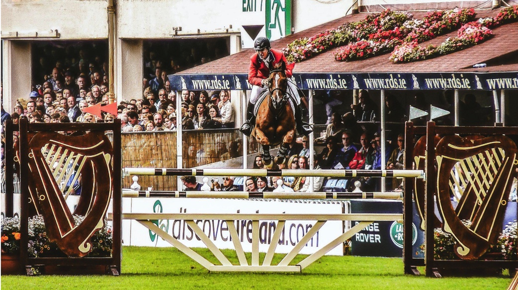 Kinship of equestrian sport and racing