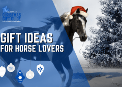Best gift ideas for horse lovers 