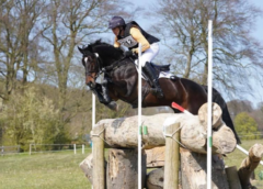 Party Trick Legacy launched in memory of top eventing stallion killed in RTA