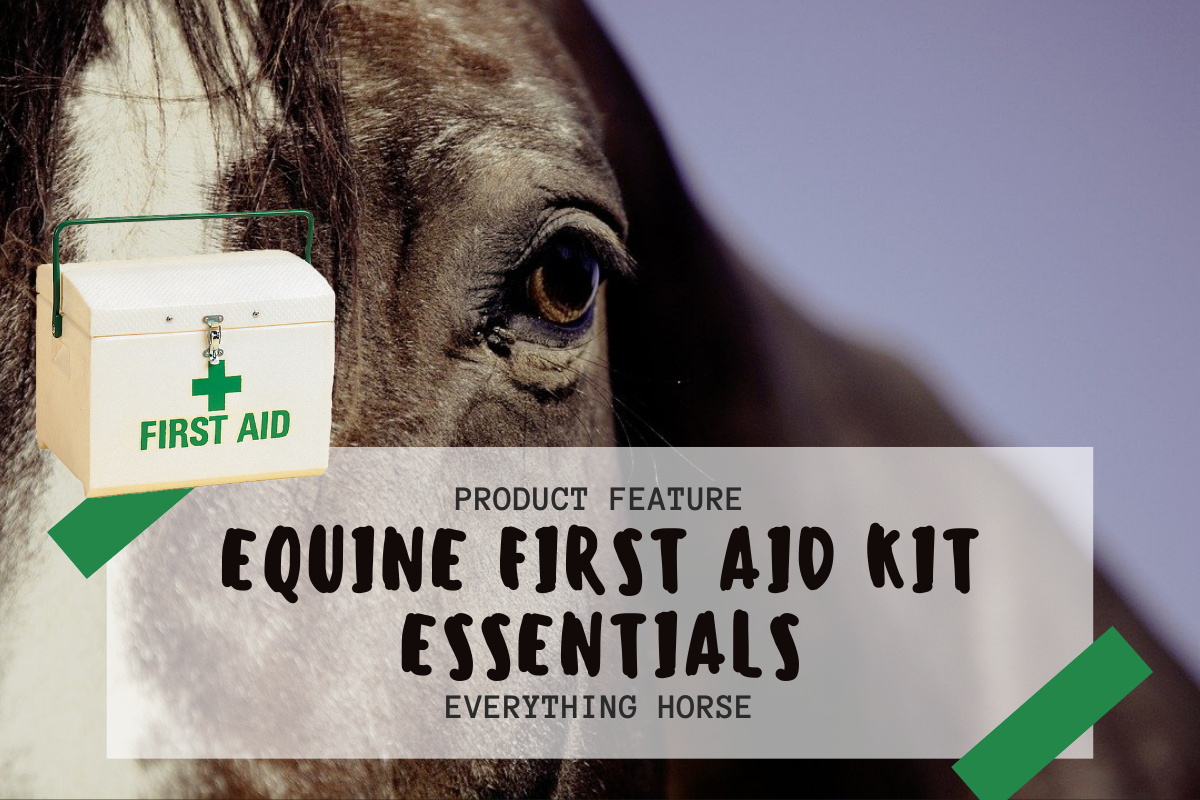 equine first aid kit essentials
