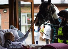 Terminally ill woman granted wish to see horse for the final time
