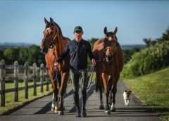 Scott Brash MBE with horses and dog