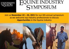 The University of Guelph’s Equine Industry Symposium Set to Return November 22-24, 2021