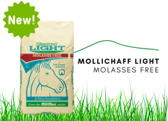 MOLLICHAFF LIGHT MOLASSES FREE