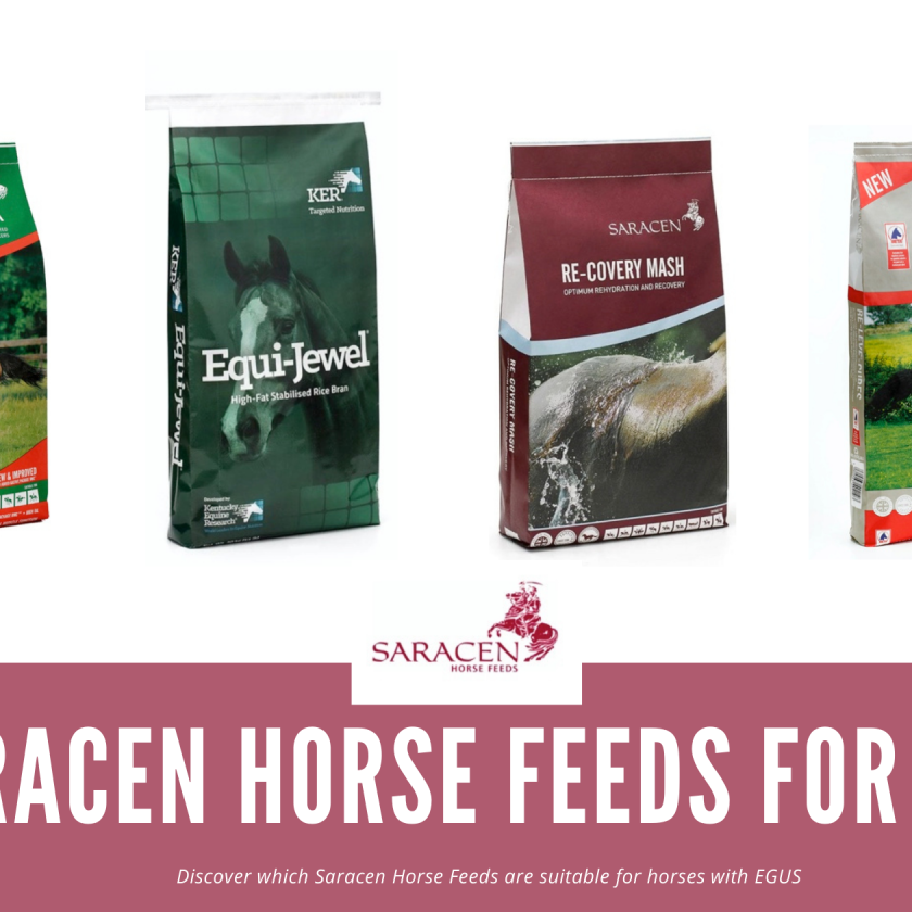 saracen horse feeds for egus