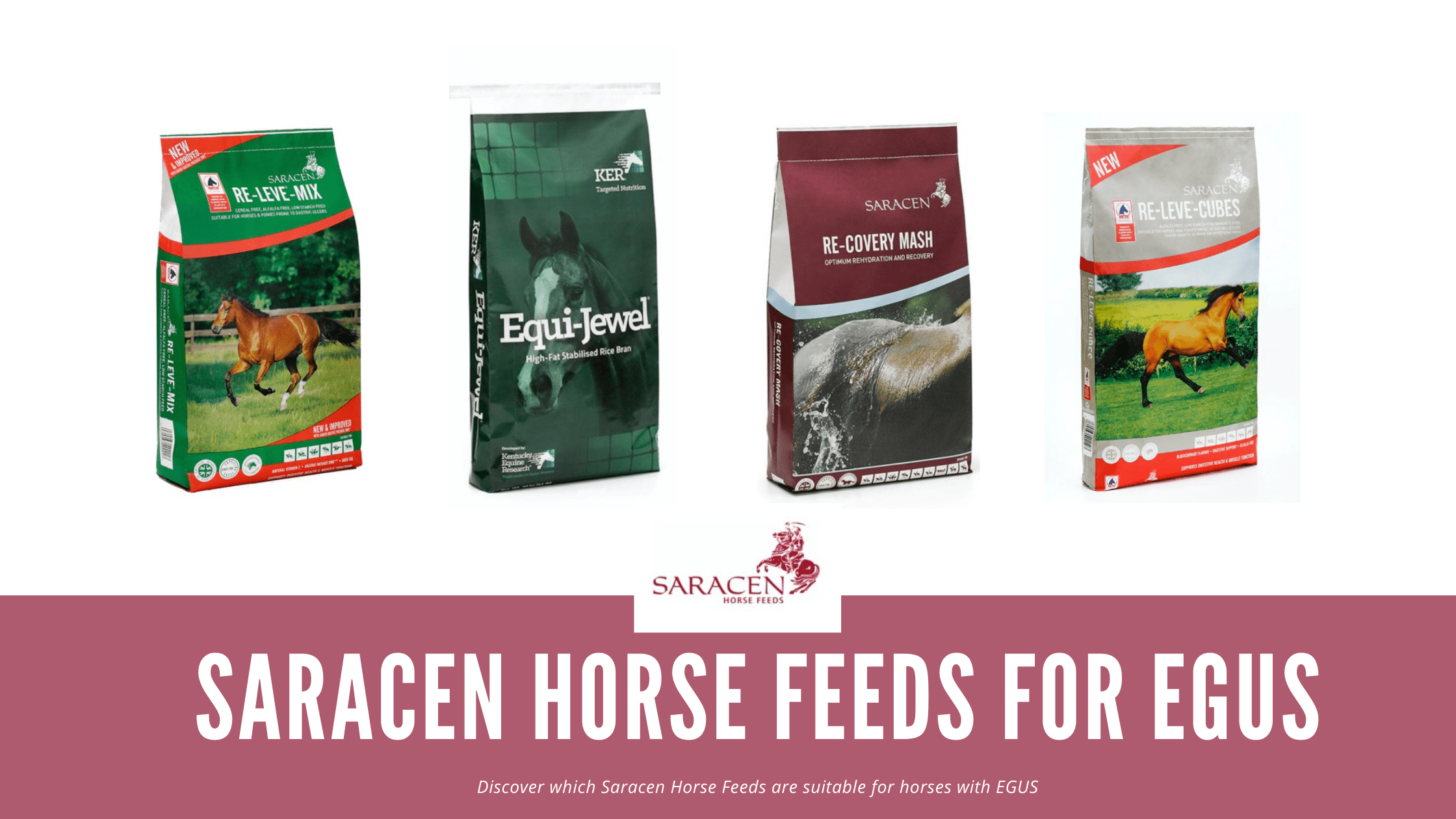 saracen horse feeds for egus