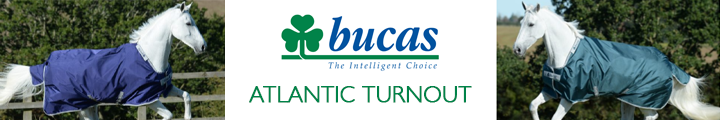 Bucas website banner