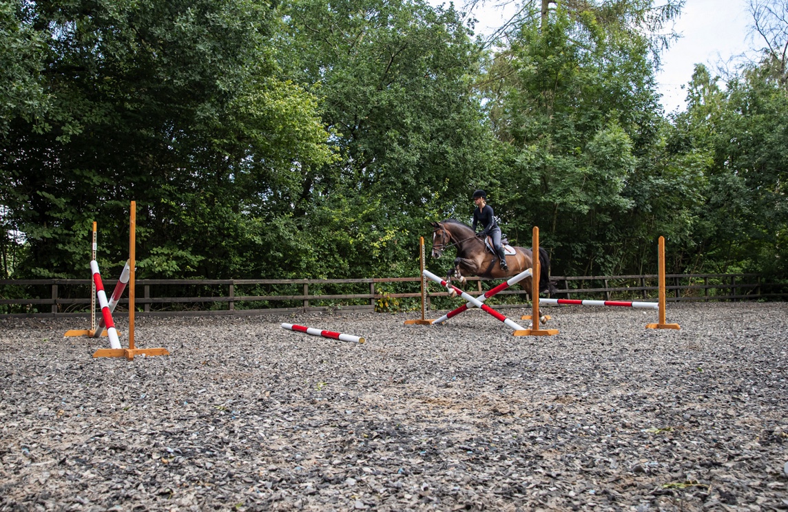 Introducing a green horse to jumping a course - image, Bex Mason tackling a series of jumps
