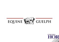 Equine Guelph NEWS by Everything Horse
