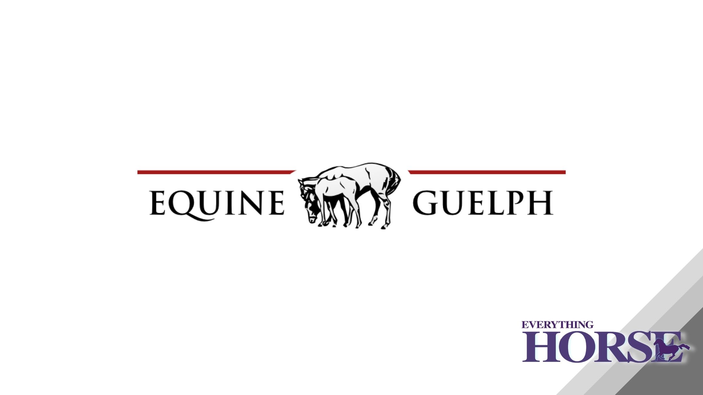 Equine Guelph NEWS by Everything Horse